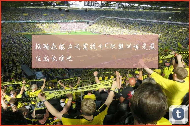 杨瀚森能力尚需提升G联盟训练是最佳成长途径