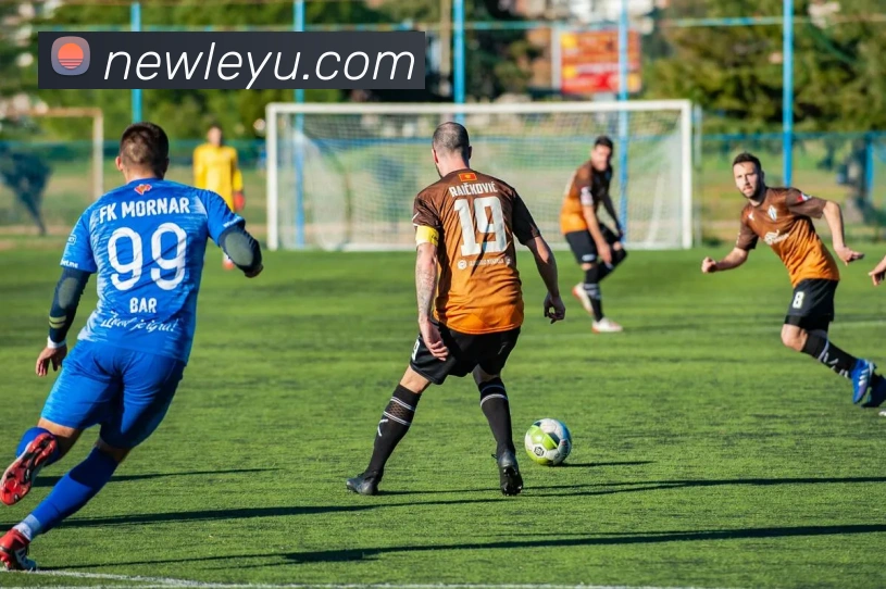 平台展示图