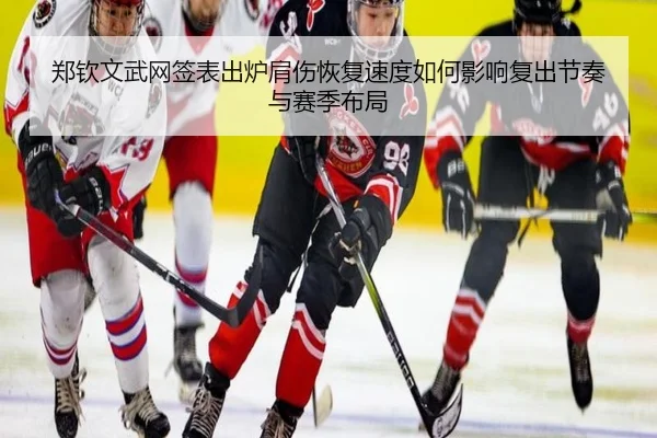 郑钦文武网签表出炉肩伤恢复速度如何影响复出节奏与赛季布局（leyu）
